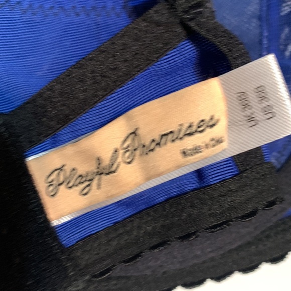 36b Playful Promises - Picture 5 of 5